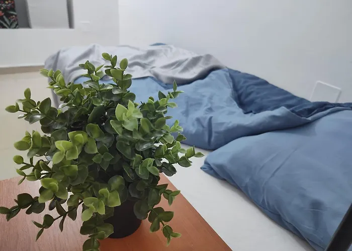 Old Town Bucharest- Shared Apartment